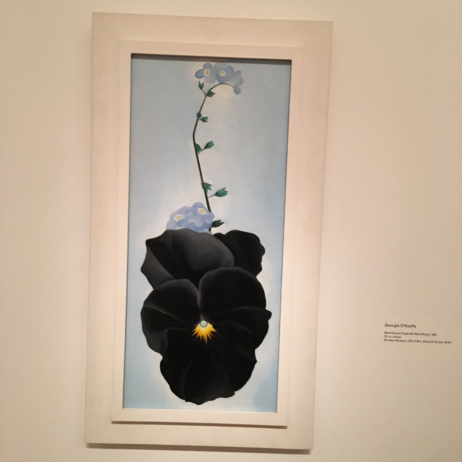 Brooklyn Museum: Georgia O’Keeffe: Living Modern